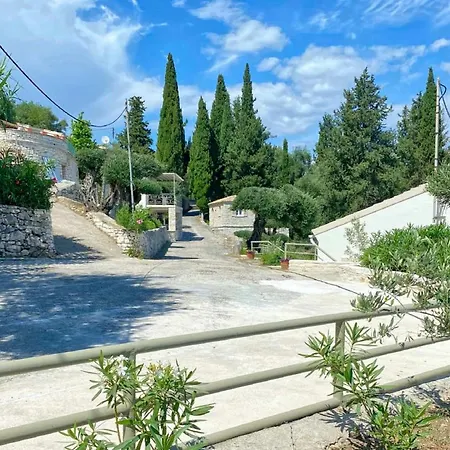 Paleopetres K-eight - Premium - -