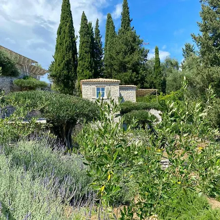 Paleopetres K-eight - Premium - - Tatil Evi