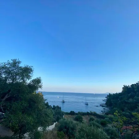 Paleopetres K-eight - Premium - -