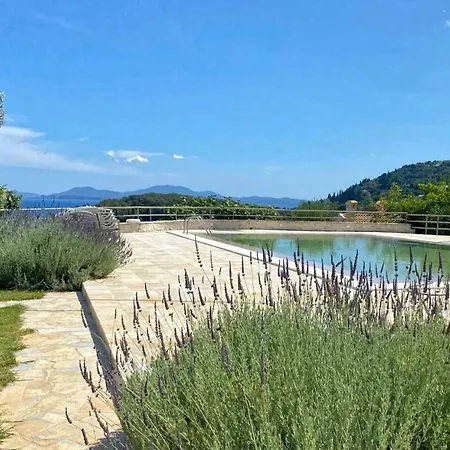 Paleopetres K-eight - Premium - -