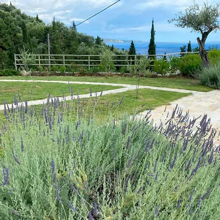 Paleopetres K-eight - Premium - - Tatil Evi *