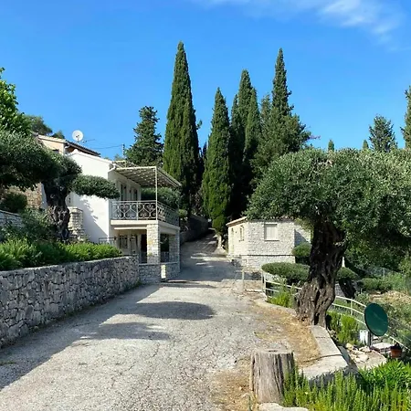 Paleopetres K-eight - Premium - - *